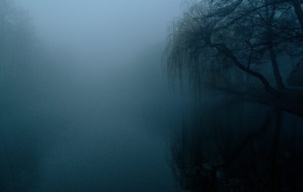 the-fog-4909513_1920